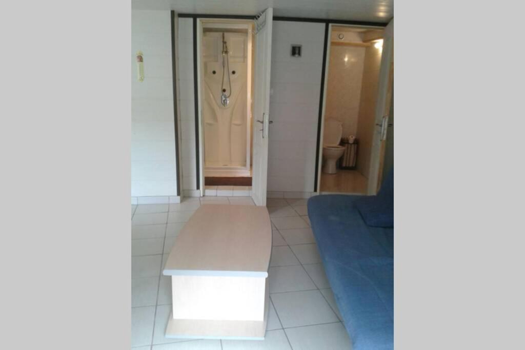 Cure Thermale Ou Vacances D'Ete Au Mont Dore Exterior foto